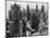 Chicago Skyscrapers in the Early 20th Century-Bettmann-Mounted Photographic Print