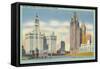 Chicago Skyscrapers-null-Framed Stretched Canvas