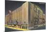 Chicago Stadium at Night, Chicago, Illinois-null-Mounted Art Print