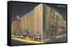 Chicago Stadium at Night, Chicago, Illinois-null-Framed Stretched Canvas