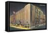 Chicago Stadium at Night, Chicago, Illinois-null-Framed Stretched Canvas