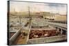 Chicago Stockyards-null-Stretched Canvas