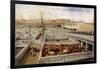 Chicago Stockyards-null-Framed Photographic Print