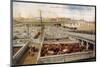 Chicago Stockyards-null-Mounted Photographic Print