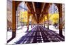 Chicago Street-Elevate Train-null-Mounted Premium Giclee Print