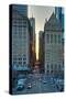 Chicago Street Scene-Steve Gadomski-Stretched Canvas