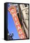 Chicago Theater, Chicago, Illinois, United States of America, North America-Amanda Hall-Framed Stretched Canvas