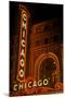 Chicago Theater, Chicago, Illinois-null-Mounted Photographic Print