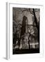 Chicago Water Tower BW-Steve Gadomski-Framed Photographic Print