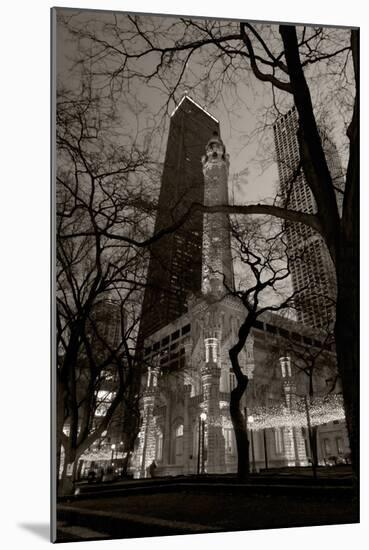Chicago Water Tower BW-Steve Gadomski-Mounted Photographic Print