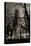 Chicago Water Tower BW-Steve Gadomski-Stretched Canvas