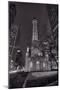 Chicago Water Tower Michigan Avenue BW-Steve Gadomski-Mounted Photographic Print