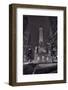 Chicago Water Tower Michigan Avenue BW-Steve Gadomski-Framed Photographic Print