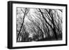 Chicago Winter-CHRSTOCK-Framed Photographic Print