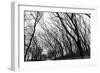 Chicago Winter-CHRSTOCK-Framed Photographic Print