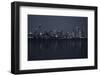 Chicago-C.S. Tjandra-Framed Photographic Print