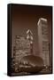 Chicagos Millennium Park BW-Steve Gadomski-Framed Stretched Canvas