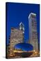 Chicagos Millennium Park-Steve Gadomski-Stretched Canvas