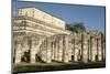 Chichen Itza, UNESCO World Heritage Site, Yucatan, Mexico, North America-Tony Waltham-Mounted Photographic Print