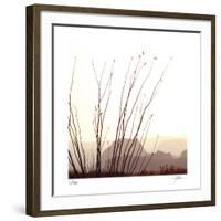 Chichuahuan 1-Ken Bremer-Framed Limited Edition