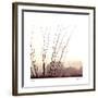 Chichuahuan 1-Ken Bremer-Framed Limited Edition