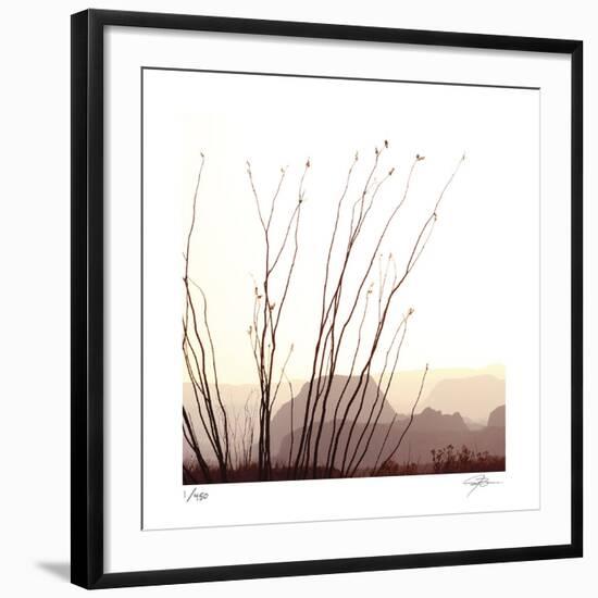 Chichuahuan 1-Ken Bremer-Framed Limited Edition