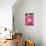 Chick Amongst Pink Roses-null-Photographic Print displayed on a wall