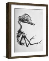 Chick Embryo Being Enlarged from Twice It's Size-Al Fenn-Framed Photographic Print