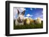 Chick in Bunny-JanPietruszka-Framed Photographic Print