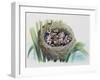 Chick of Common Cuckoo (Cuculus Canorus), Cuculidae, in Nest of Parasitic Species-null-Framed Giclee Print