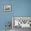 Chick on tower-shaped nest. Black-browed albatross or black-browed mollymawk, Falkland Islands.-Martin Zwick-Framed Photographic Print displayed on a wall