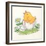 Chick with Egg-Beverly Johnston-Framed Giclee Print