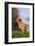 Chick-DLILLC-Framed Photographic Print