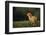 Chick-DLILLC-Framed Photographic Print