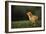 Chick-DLILLC-Framed Photographic Print