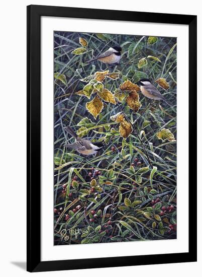 Chickadee 2-Jeff Tift-Framed Premium Giclee Print