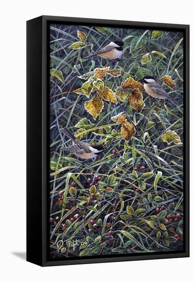 Chickadee 2-Jeff Tift-Framed Stretched Canvas