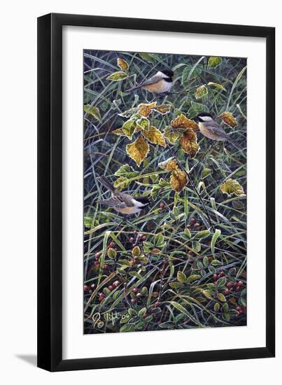 Chickadee 2-Jeff Tift-Framed Giclee Print