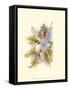 Chickadee and Oak Leaves-Janet Mandel-Framed Stretched Canvas