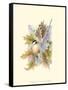 Chickadee and Oak Leaves-Janet Mandel-Framed Stretched Canvas