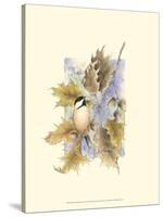 Chickadee and Oak Leaves-Janet Mandel-Stretched Canvas