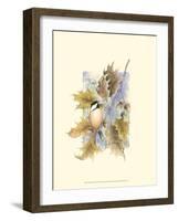 Chickadee and Oak Leaves-Janet Mandel-Framed Art Print