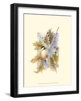 Chickadee and Oak Leaves-Janet Mandel-Framed Art Print