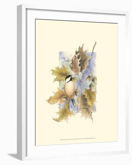 Chickadee and Oak Leaves-Janet Mandel-Framed Art Print