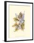 Chickadee and Oak Leaves-Janet Mandel-Framed Art Print