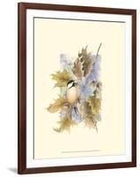 Chickadee and Oak Leaves-Janet Mandel-Framed Art Print