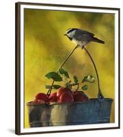 Chickadee Apples-Chris Vest-Framed Premium Giclee Print