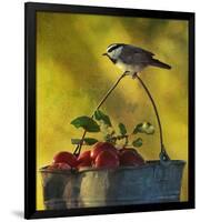 Chickadee Apples-Chris Vest-Framed Premium Giclee Print