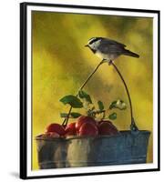 Chickadee Apples-Chris Vest-Framed Premium Giclee Print