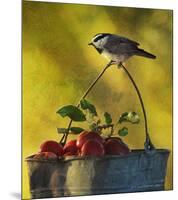 Chickadee Apples-Chris Vest-Mounted Premium Giclee Print